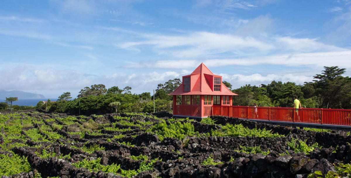 SubRegião: Pico - Imagem de Destaque, Região: Açores, Pais: portugal